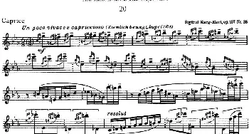 长笛曲谱 | 斯勒新老风格长笛练习重奏曲(第四部分)NO.20  Siegfried Thiele S. (斯勒)