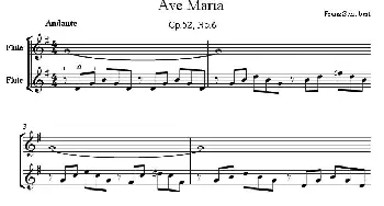 长笛曲谱 | Ave Maria(万福玛利亚)二重奏  舒伯特