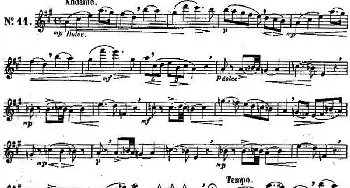 长笛曲谱 | 二十首练习曲作品131号(NO.11)Garibold (加里波第）
