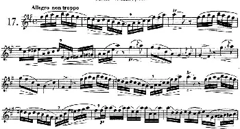 长笛曲谱 | 二十首练习曲作品132号之17  Garibold (加里波第）