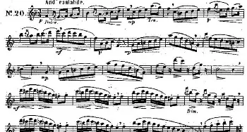 长笛曲谱 | 二十首练习曲作品131号(NO.20)Garibold (加里波第）