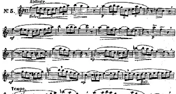 长笛曲谱 | 二十首练习曲作品131号(NO.5)Garibold (加里波第）