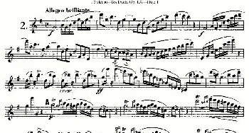 长笛曲谱 | Six Duets, Op.137 之二(二重奏 六首作品 137号)Furstenau 福斯特劳