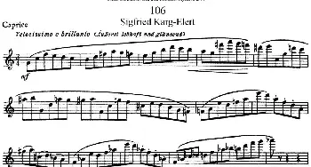 长笛曲谱 | 斯勒新老风格长笛练习重奏曲(第一部分)NO.106  Siegfried Thiele S. (斯勒)