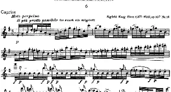 长笛曲谱 | 斯勒新老风格长笛练习重奏曲(第四部分)NO.6  Siegfried Thiele S. (斯勒)