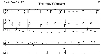 Trumpet Voluntary(小号+钢琴伴奏）