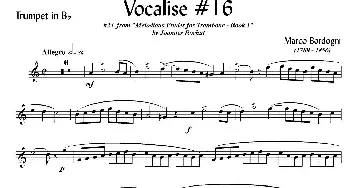 Bordogni - Vocalise #16(小号)Marco Bordogni