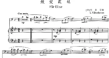 致爱莉丝(长号+钢琴伴奏)[德]贝多芬