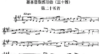 基本音型练习曲第二十五首