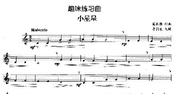 趣味练习曲 小星星  莫扎特