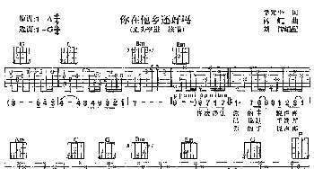 你在他乡还好吗(吉他谱) 李进 李光平 杨虹曲 刘传