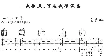 我很丑可是我很温柔(吉他谱) 赵传