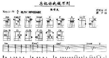 忘记你我做不到(吉他谱) 张学友 陈家丽 郭子