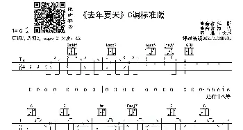 去年夏天(吉他谱) 王大毛  高音教