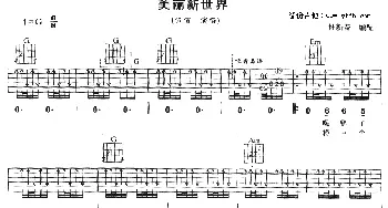 美丽新世界(吉他谱) 伍佰