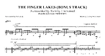 tommy emmanuel the finger lakes(吉他谱)