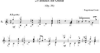 Napoleon Coste《25 Studies,Op.38》(吉他谱)