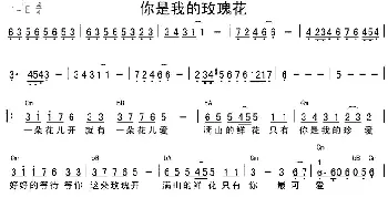 你是我的玫瑰花(吉他谱) 庞龙