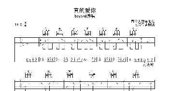 真的爱你(吉他谱) beyond 小美 黄家驹