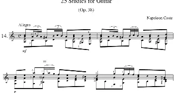 Napoleon Coste《25 Studies,Op.38》(吉他谱)