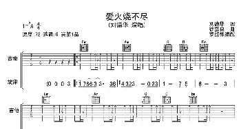 爱火烧不尽(吉他谱) 刘德华 刘德华 徐嘉良
