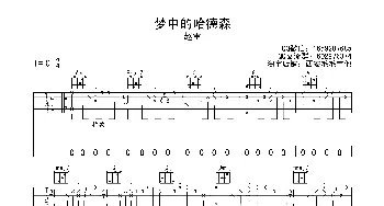 梦中的哈德森(吉他谱) 赵雷  西安毛毛吉他