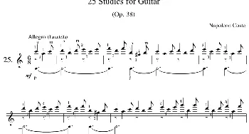 Napoleon Coste《25 Studies,Op.38》(吉他谱)