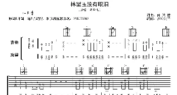 林黛玉没有眼泪(吉他谱)蒋雪儿 田跃君词曲 梦断弦音