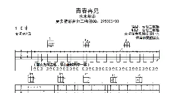 青春再见(吉他谱) 水木年华  吉他三脚猫制谱