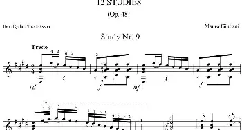 Mauro Giuliani《12 Studies,Op.48》(吉他谱)