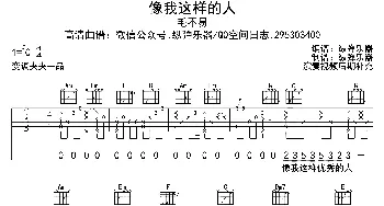 像我这样的人(吉他谱) 毛不易  纵弹乐器