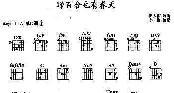 野百合也有春天(吉他谱)罗大佑 罗大佑