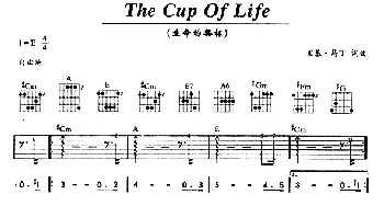 The Cup Of Life(吉他谱) Ricky Martin