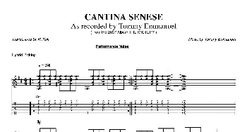 tommy emmanuel cantina senese version-2(吉他谱) tommy emmanuel