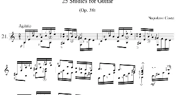 Napoleon Coste《25 Studies,Op.38》(吉他谱)