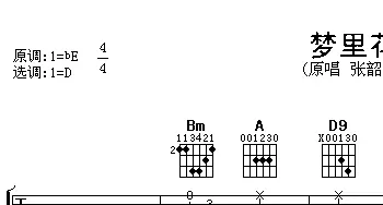 梦里花(吉他谱) 张韶涵  阿潘