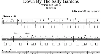Down By The Sally Gardens(吉他谱)