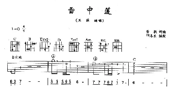 雪中莲(吉他谱) 王菲 黄敏 黄敏