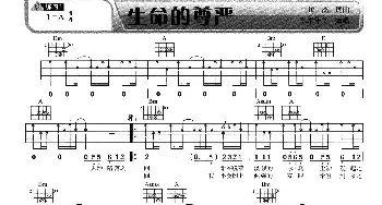 生命的尊严(吉他谱) 水木年华 缪杰 缪杰