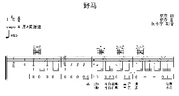 野马(吉他谱) 罗森词曲 何小宇制谱