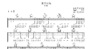 生如夏花(吉他谱) 朴树  甘文