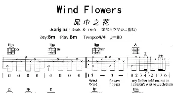 Wind Flowers(吉他谱) 齐秦