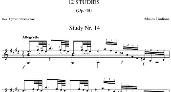 Mauro Giuliani《12 Studies,Op.48》(吉他谱)