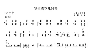 古筝谱 | 我望槐花几时开(黄梅改编版)