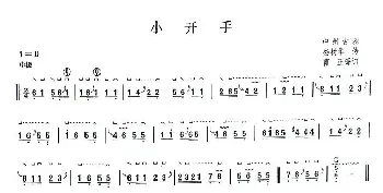 古筝谱 | 小开手  曹正 订谱