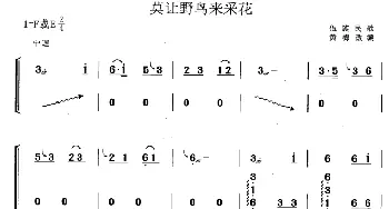 古筝谱 | 莫让野鸟来采花(黄梅改编版)