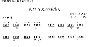 古筝谱 | 古筝托劈与大指摇练习(选调《中秋夜》)高雁编曲