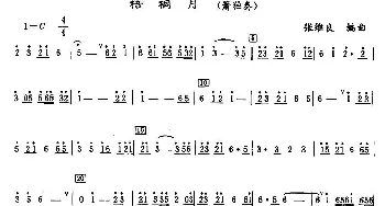 梧桐月(箫独奏)张维良编曲