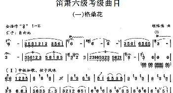 笛箫六级考级曲目 格桑花  胡结续