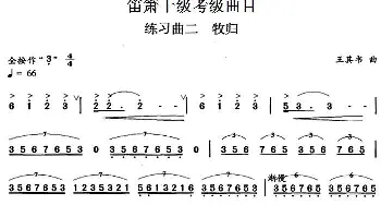 笛箫十级考级曲目 练习曲二(牧归)王其书